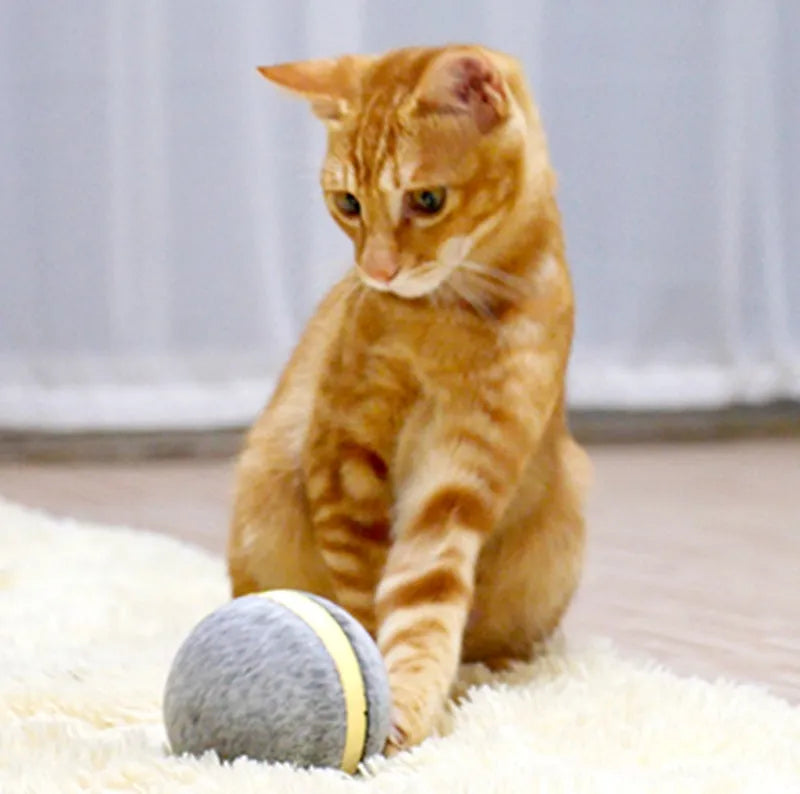 Interactive cat toy bouncing ball with LED lights, silicone exterior, USB rechargeable, blue colour