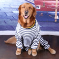 Cotton long sleeve dog shirt for medium and large dogs, sizes 30-36, blue or red, four-legged design.