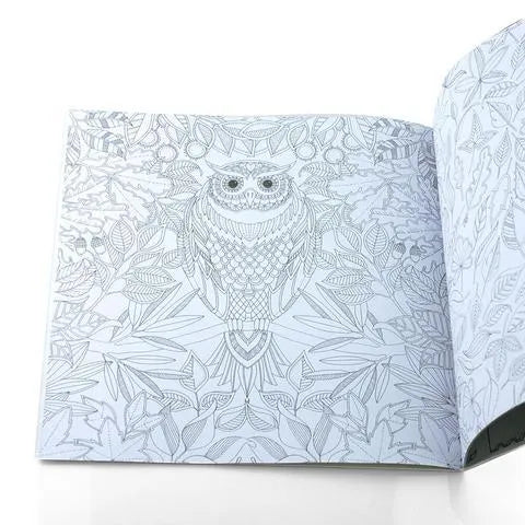 DIY coloring book for adults with cartoon comic style Secret Garden themed line art