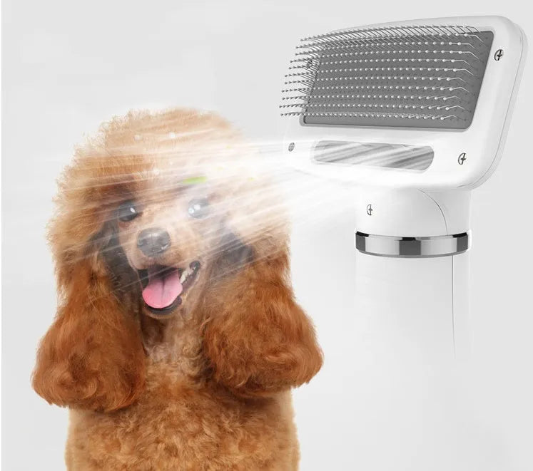 Pet Hair Comb All-in-one Hair Dryer PD-9800 in green, with two heat settings and ABS construction