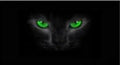 Horror themed 3D stereo perspective car window sticker 130x70cm in a creative design