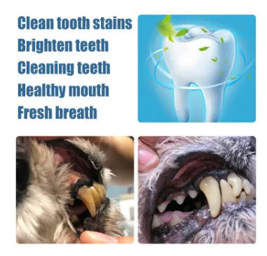 Yegbong pet teeth whitening and tartar removal pen set with two dental brushes for dogs and cats.