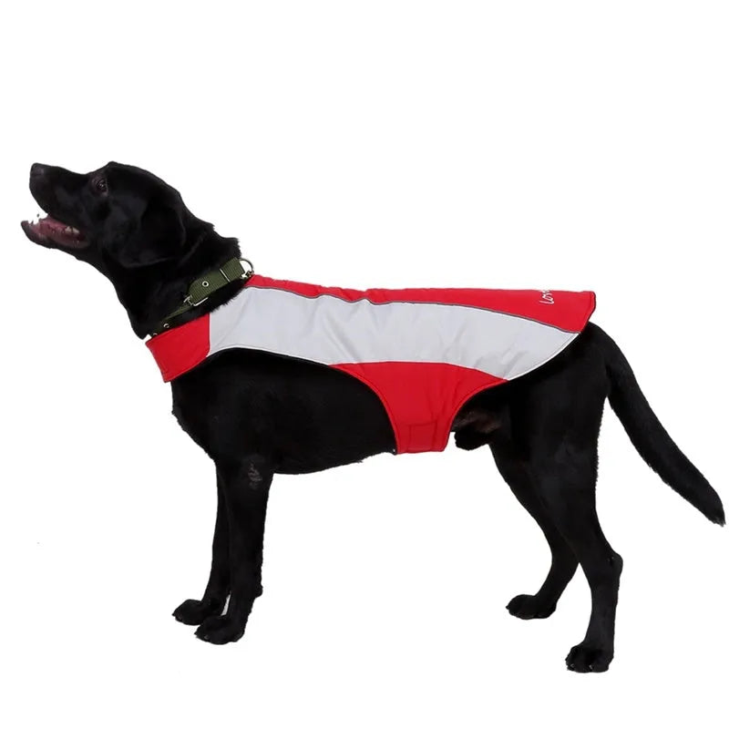 Winter dog coat for large breeds in blue or red, polyester, night reflective, sizes S to 2XL