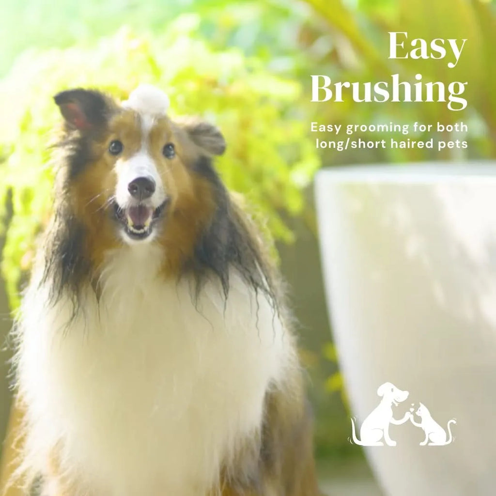 Self-cleaning pet grooming brush with blue rubber handle and stainless steel bristles