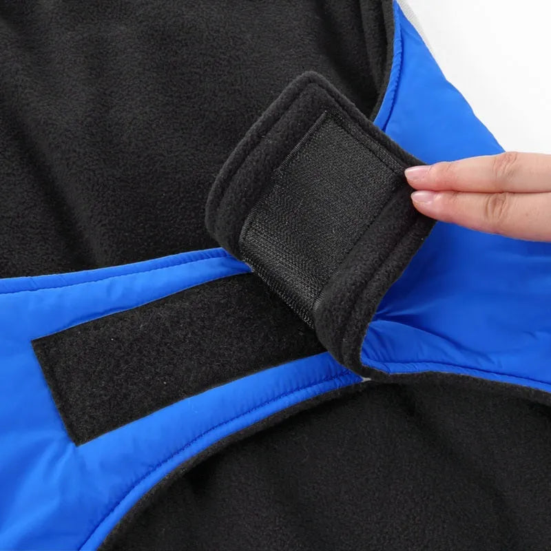 Winter dog coat for large breeds in blue or red, polyester, night reflective, sizes S to 2XL