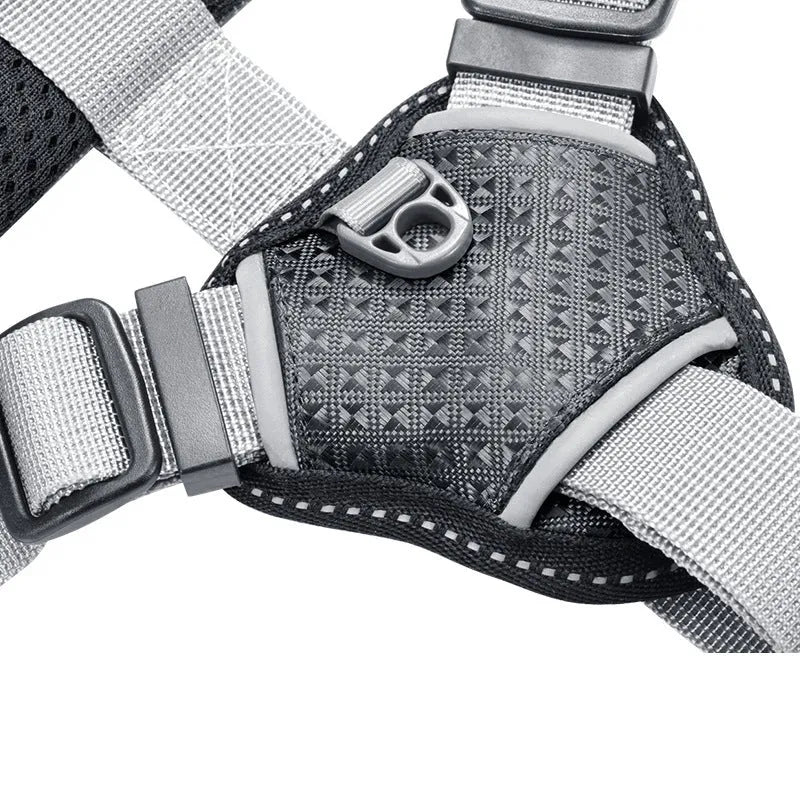 Dog chest harness in blue, polyester material, with chest and back attachment rings, size medium