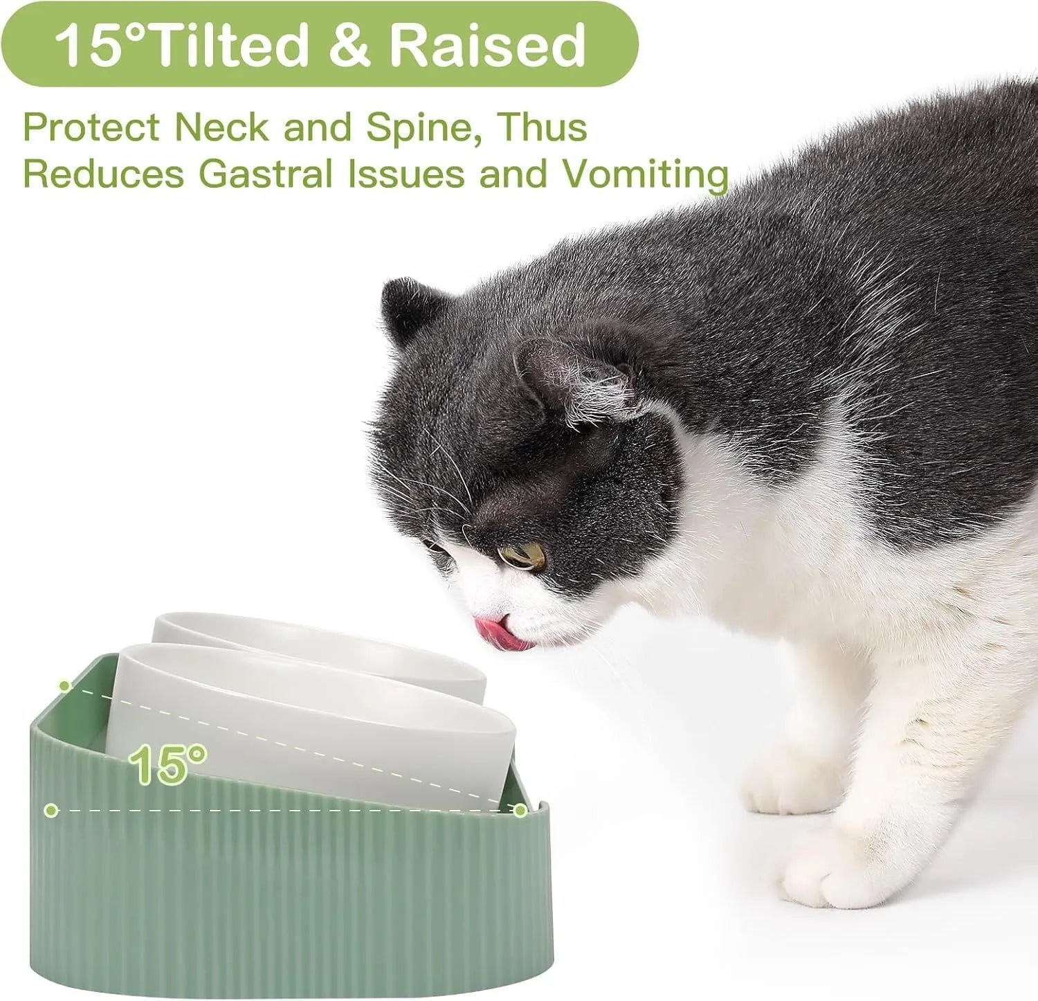 Green ceramic raised cat bowl set with two bowls on a tilted stand and non-slip base.
