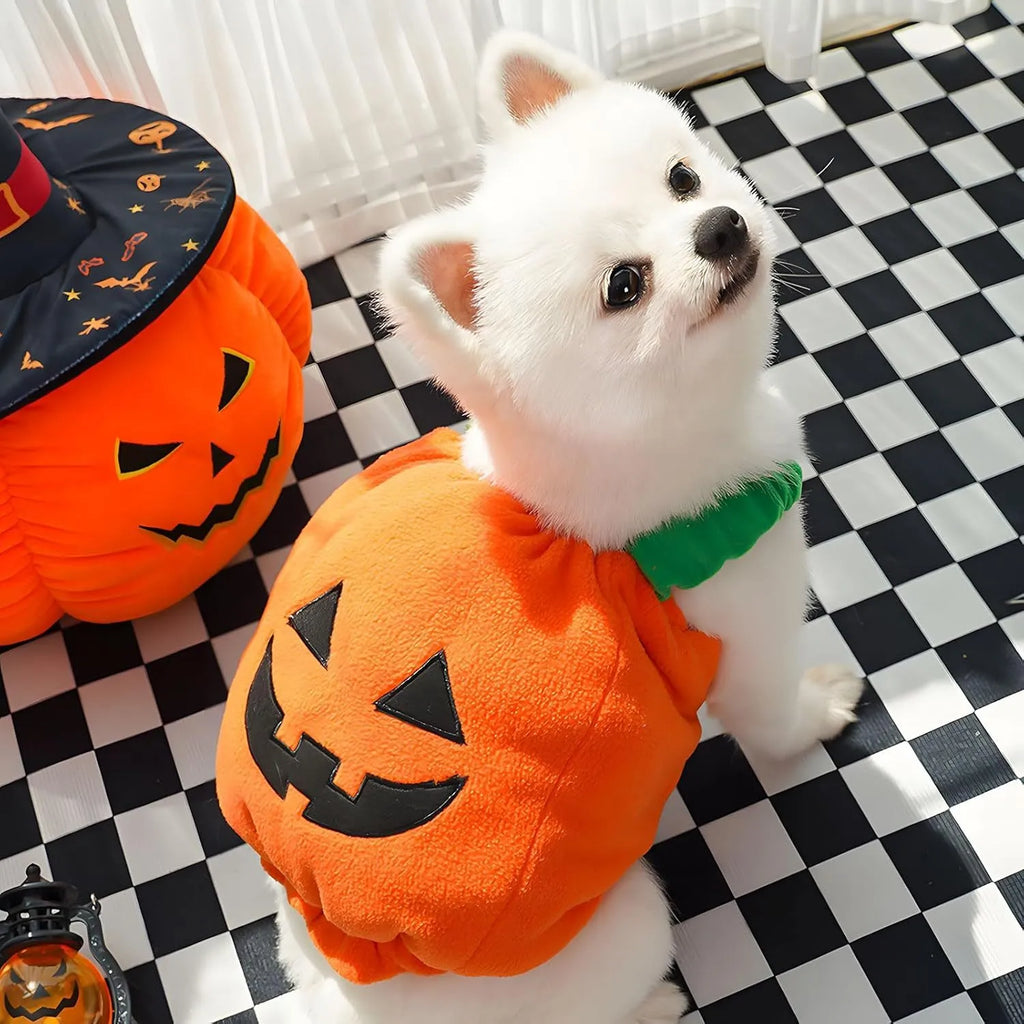 Orange plush pumpkin Halloween costume worn by a small dog, showing pullover design and textured fabric.