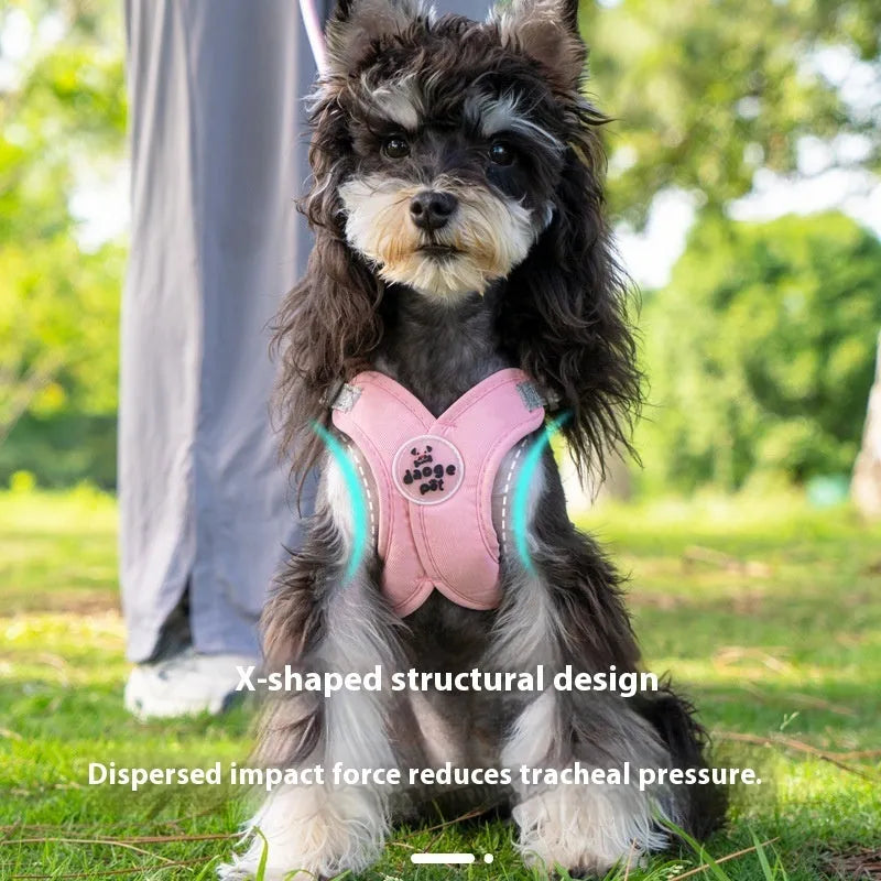 Polyester dog vest and hand holding leash set in blue, green, pink, or yellow.