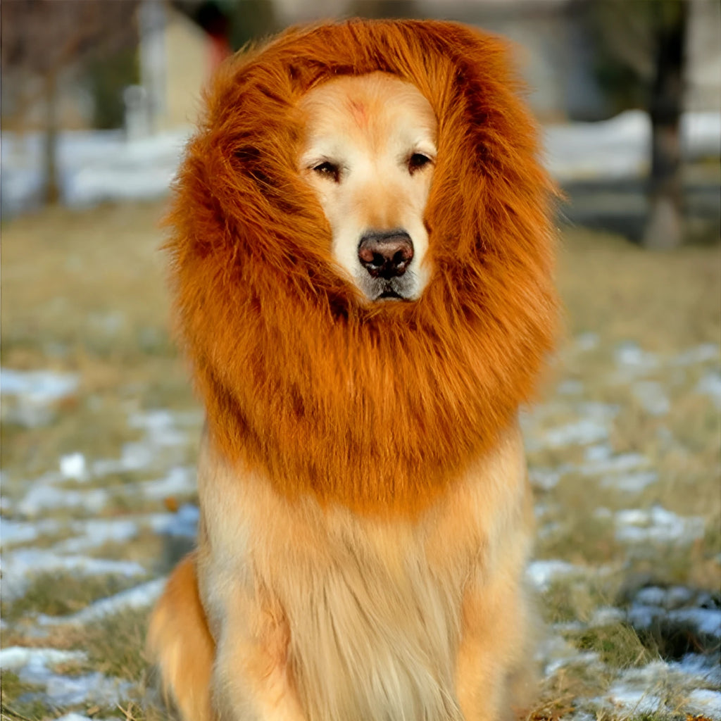 Lion mane wig for large dogs with head circumference below 74cm, 38x38cm headgear, black colour with ears