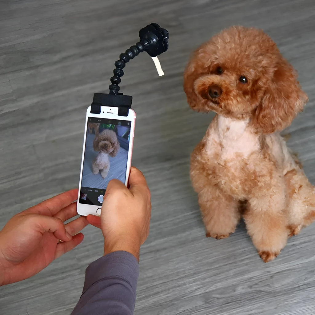Black and white PVC pet selfie stick with square and flower smartphone clips for handheld photography.