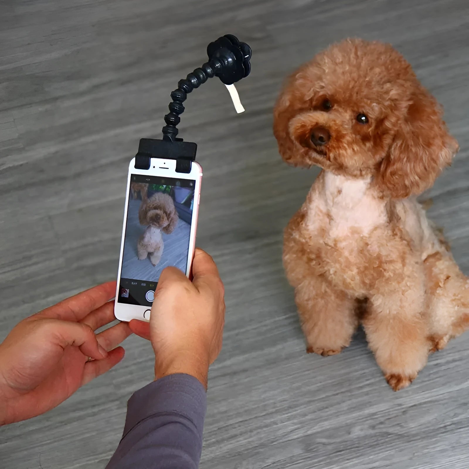 Black and white PVC pet selfie stick with square and flower smartphone clips for handheld photography.