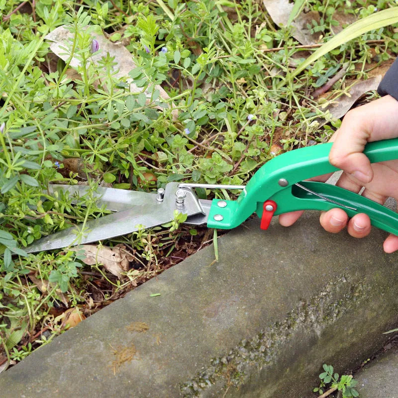 Ten-piece gardening tool set with iron heads and plastic handles in green and purple colour options