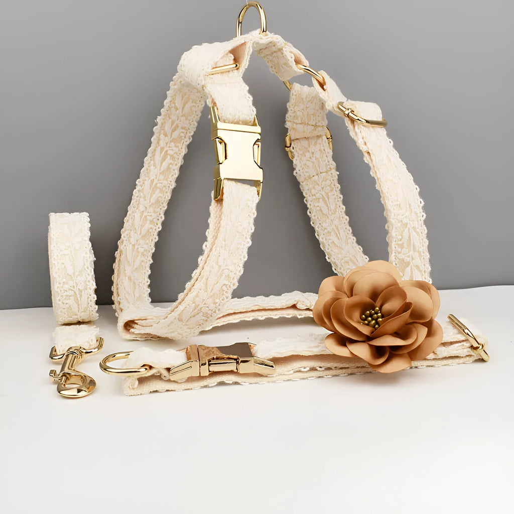 White lace-trimmed dog vest with matching collar, leash, and floral bandana on a small dog.