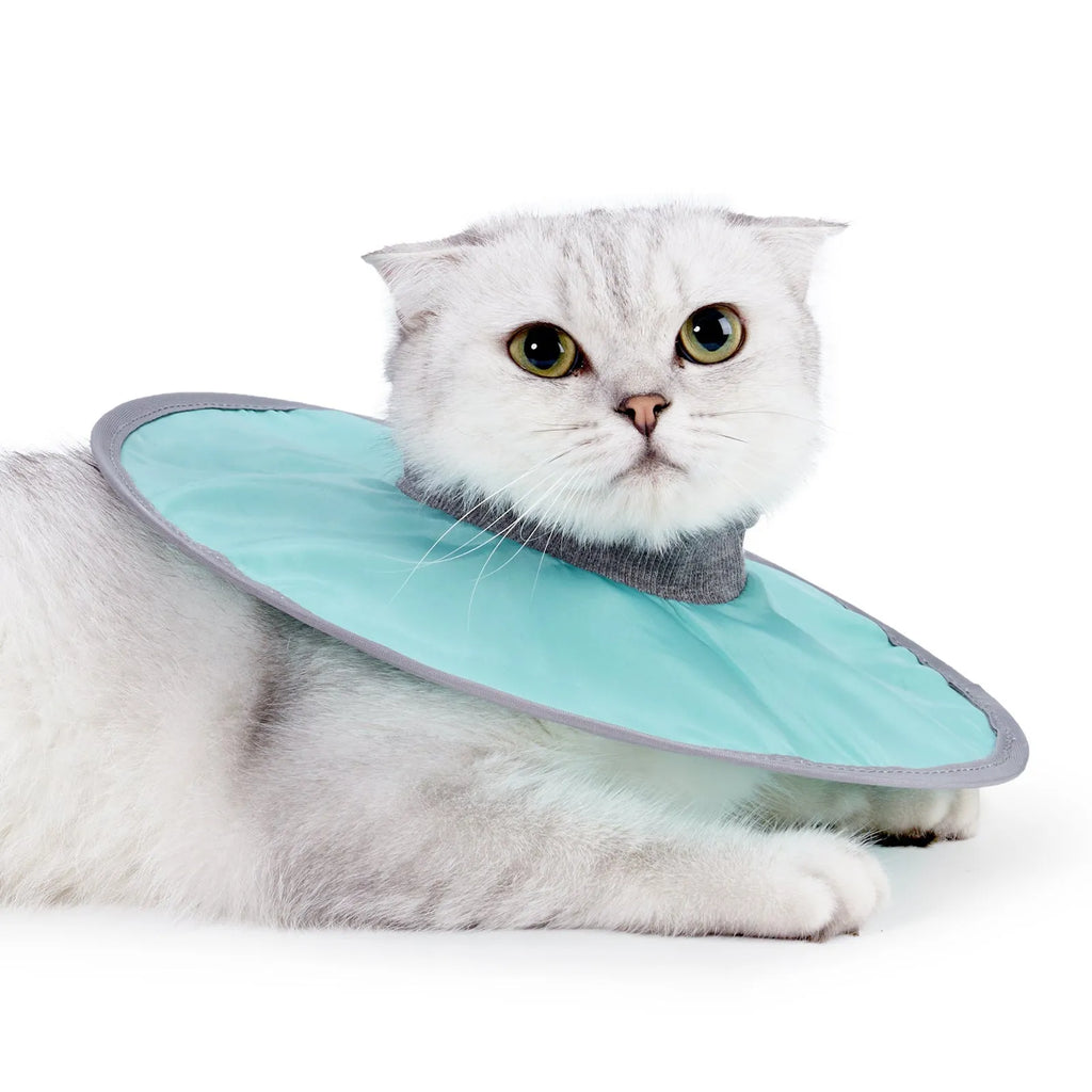 Cloth circle collar cat collar made from polyester in light blue colour, size M