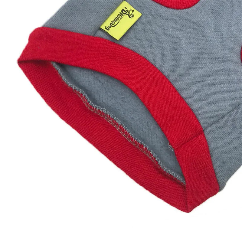 Fleece dog vest in blue on small breed dog with size chart measurements