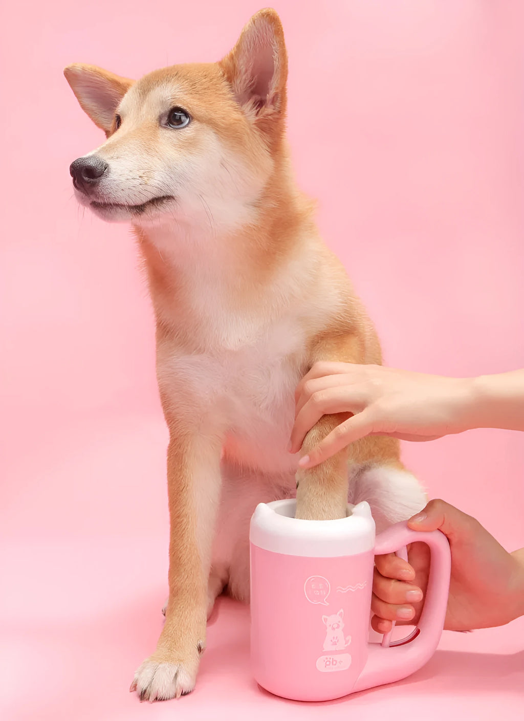 Blue pet paw cleaning cup with silicone brush for small dogs and cats on white background