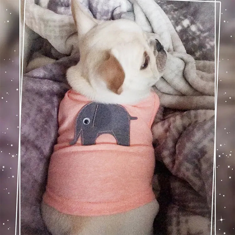 Cotton dog vest in dark blue or light blue, sizes XS to XL, with 17-37cm back length and 33-53cm bust.