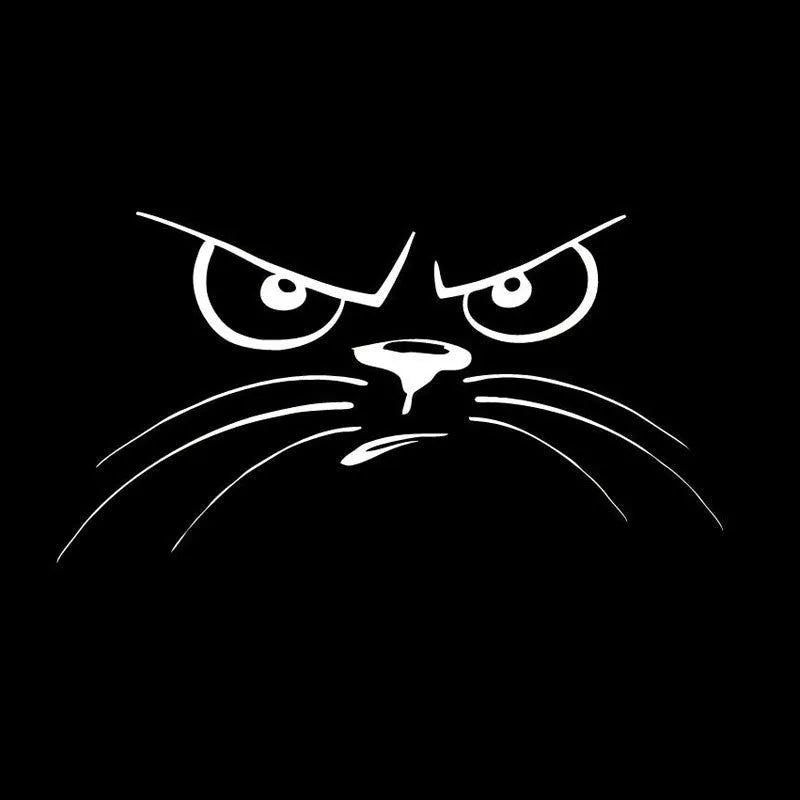 J-078 Not Happy Cat reflective car sticker, white, 16.5x9 cm, on car bumper