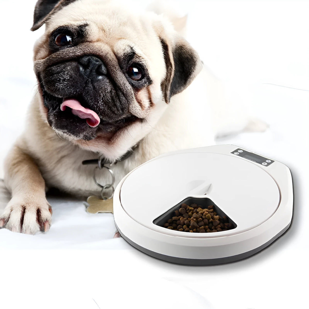 Pet automatic multi-grid feeder with five cells and timer for cats and dogs, food-grade plastic build