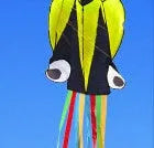 Large 4-metre octopus soft kite in red with 30-metre line and control handle on beach