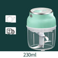 Portable USB electric mini food chopper with transparent cup and stainless steel blade for garlic and vegetables