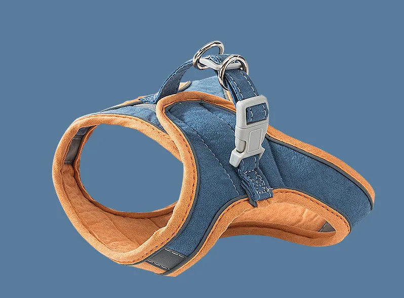 Cat wearing deerskin velvet vest-style reflective harness with matching 1.5m traction rope, green orange stitching