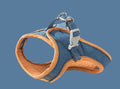 Cat wearing deerskin velvet vest-style reflective harness with matching 1.5m traction rope, green orange stitching