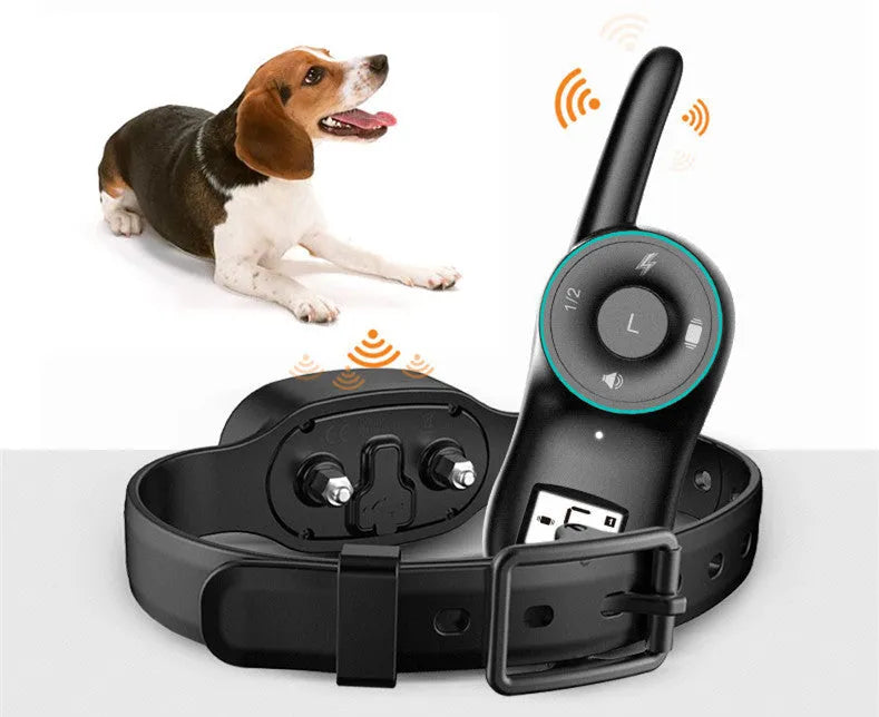Black remote control and matching waterproof dog training collar with adjustable strap on a grey background