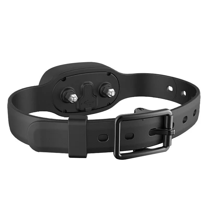 Black remote control and matching waterproof dog training collar with adjustable strap on a grey background