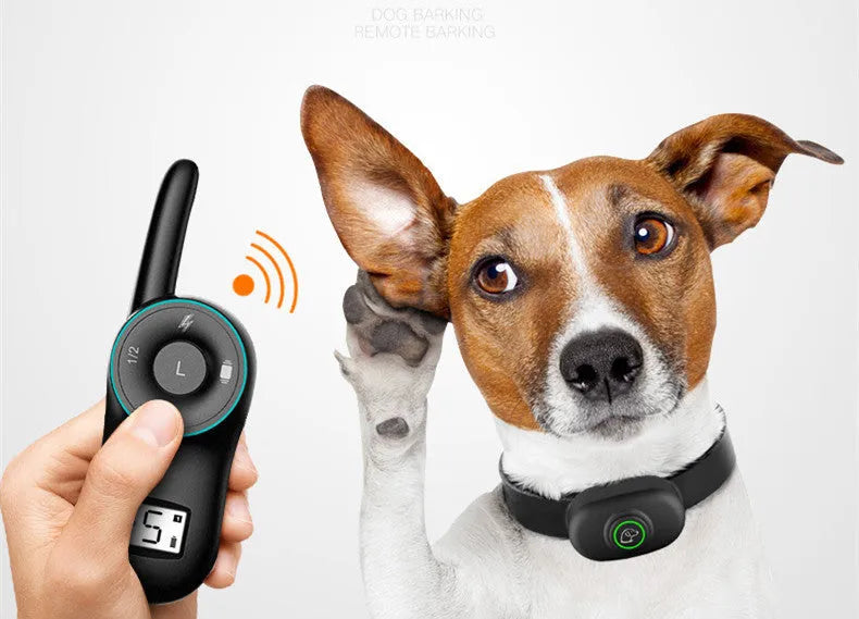 Black remote control and matching waterproof dog training collar with adjustable strap on a grey background