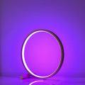Nordic simple USB table lamp with RGB atmosphere, metal holder, in black colour