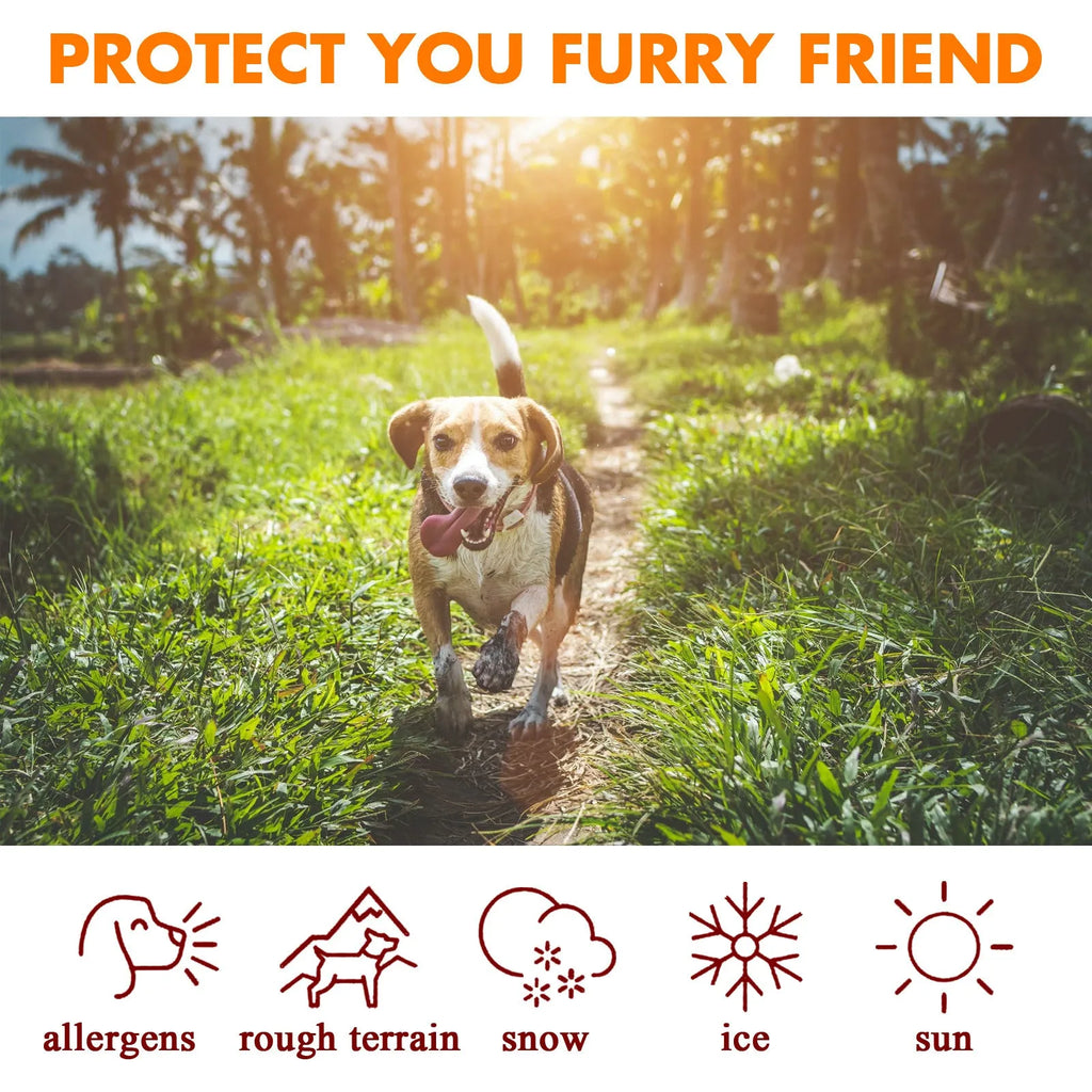 30g can of pet paw care cream with natural oils for dog pad protection