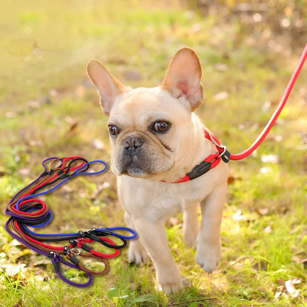 Nylon dog leash 150cm in length with clip end, available in multiple colours
