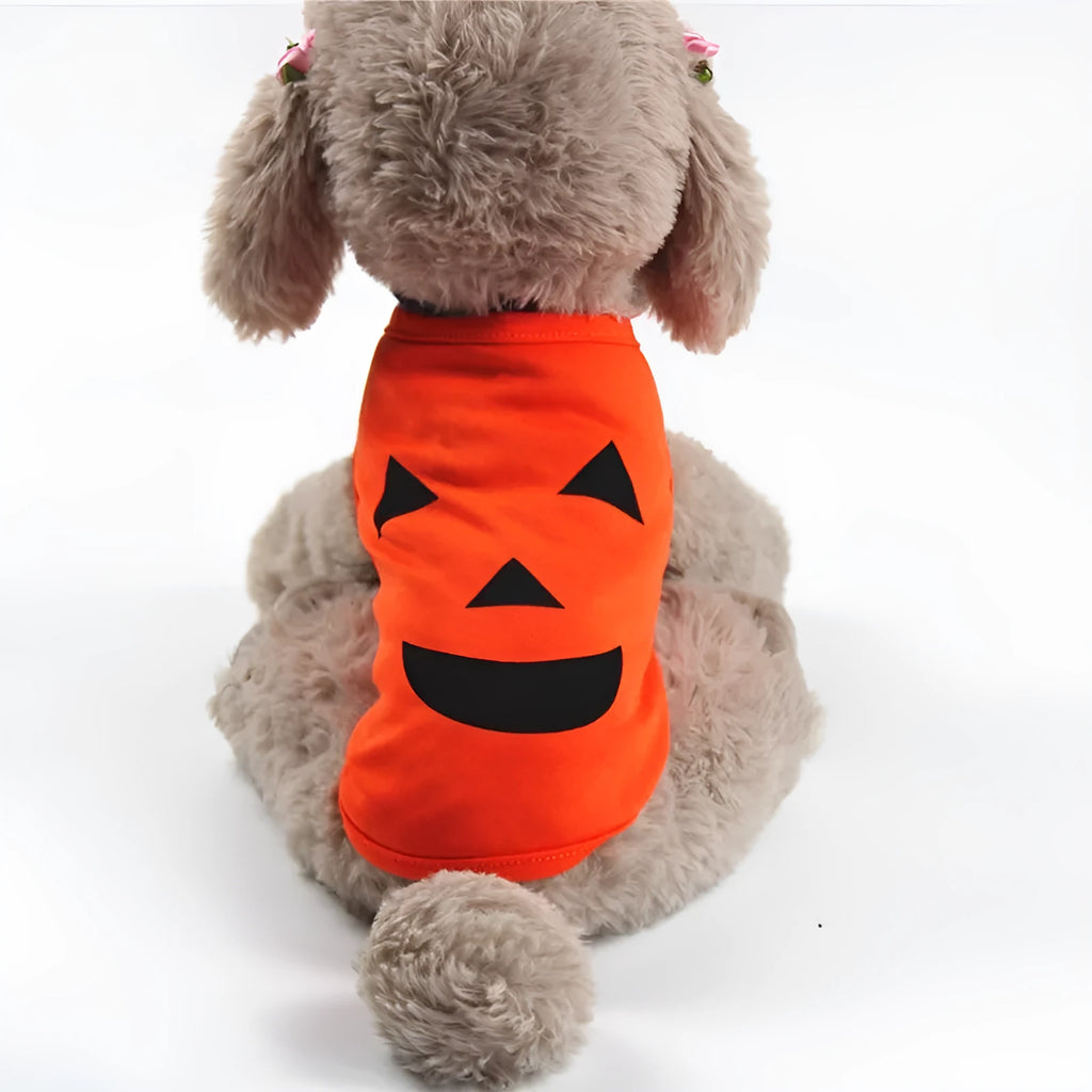 Halloween pet pumpkin clothes in orange cloth with smiley face design for cats and small dogs