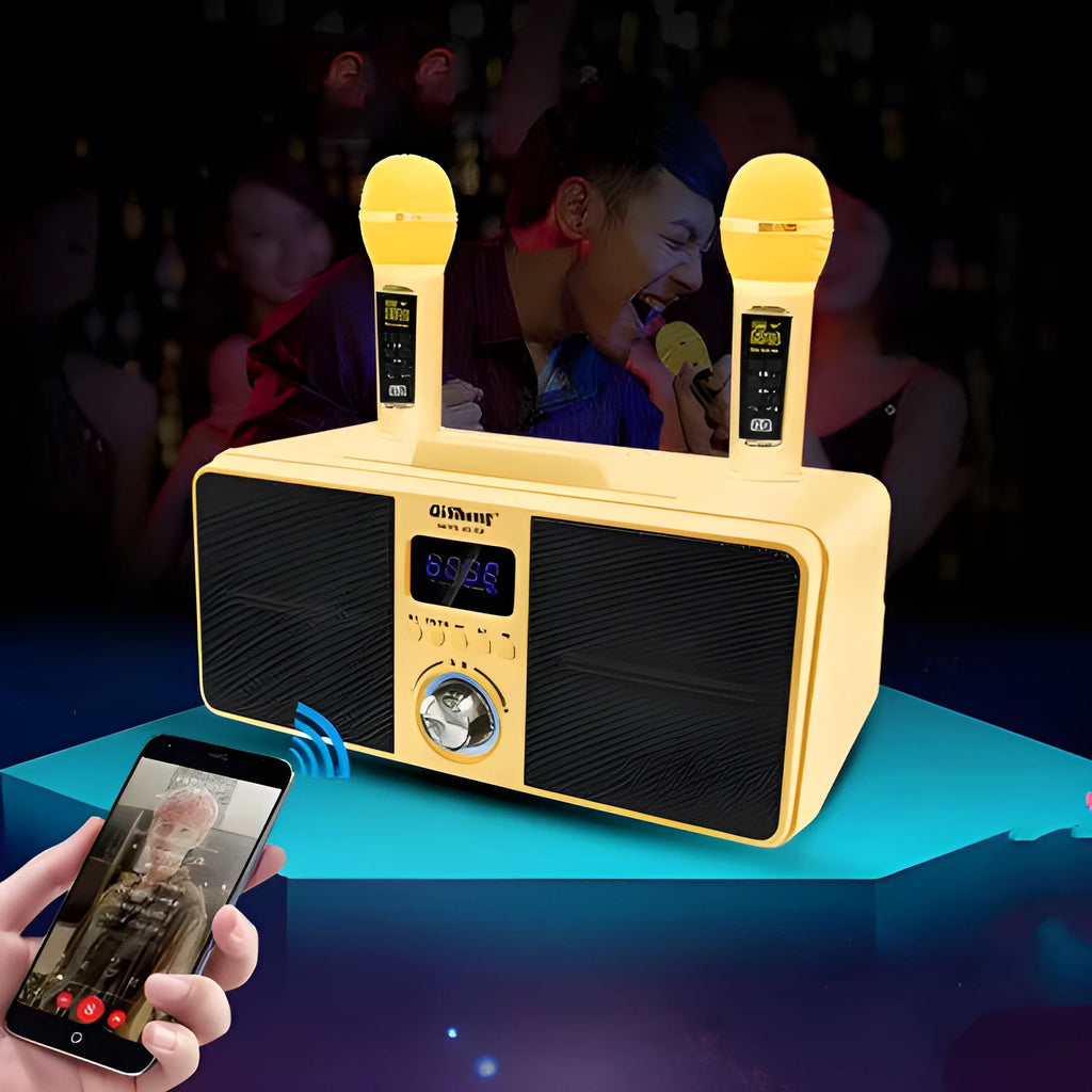 Black home KTV Bluetooth karaoke speaker with two wireless microphones and built-in subwoofer