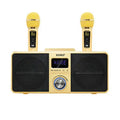 Black home KTV Bluetooth karaoke speaker with two wireless microphones and built-in subwoofer