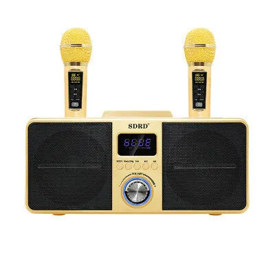 Black home KTV Bluetooth karaoke speaker with two wireless microphones and built-in subwoofer