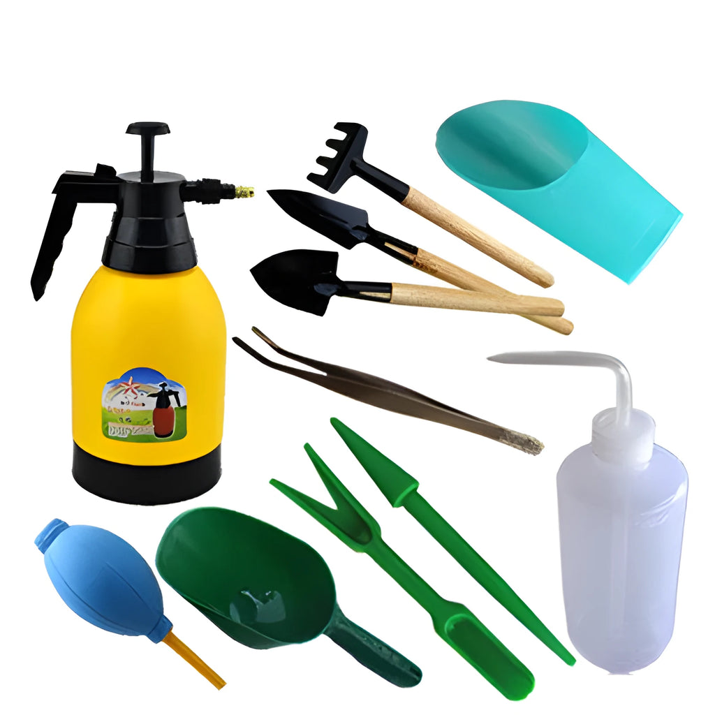 Succulent gardening tool set with tools laid out including tweezers, shovel, spray bottle, and a blue and orange seedling transfer cloth.