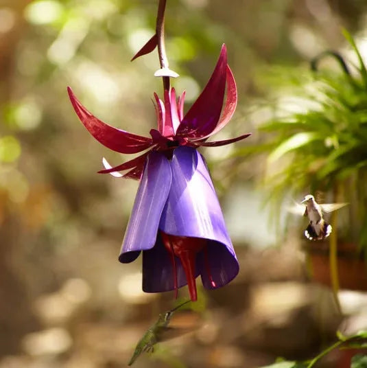 Purple metal morning glory flower bird feeder, 35 x 16.5 x 17 cm, for garden decoration and bird feeding