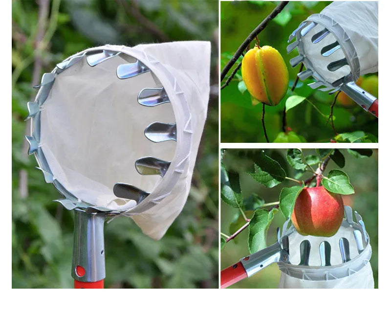 Steel basket fruit picker with cloth catcher bag for garden harvesting
