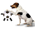 White 17cm TPU dog ball with rope attachment for outdoor fetch and training