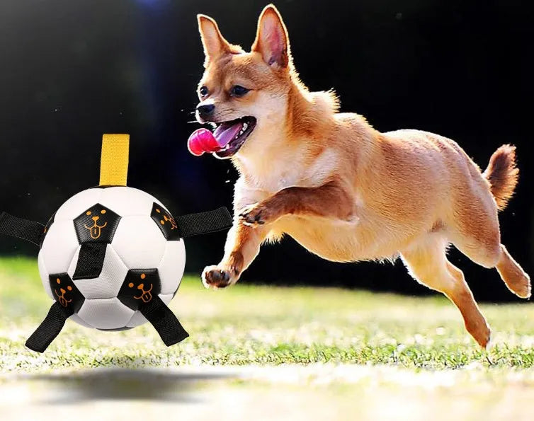 White 17cm TPU dog ball with rope attachment for outdoor fetch and training