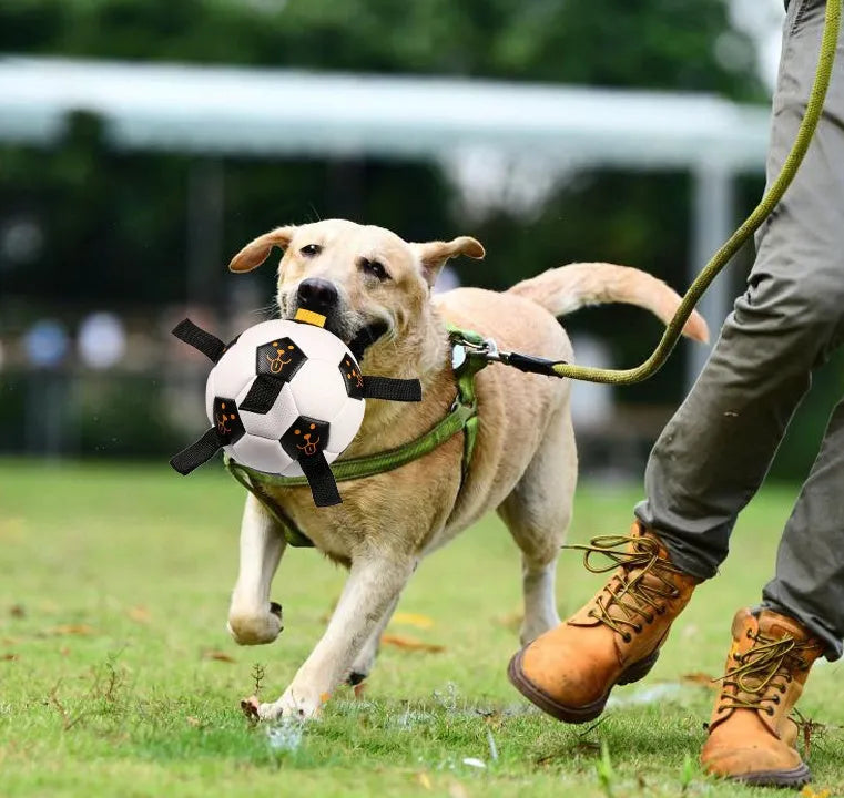 White 17cm TPU dog ball with rope attachment for outdoor fetch and training