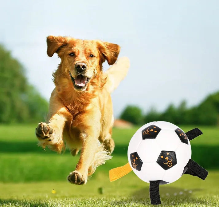 White 17cm TPU dog ball with rope attachment for outdoor fetch and training