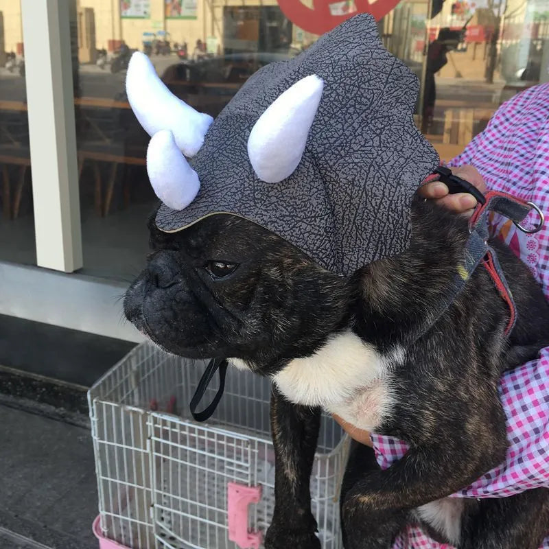 Grey cloth triceratops dinosaur hat on a pet dog or cat, one-size headgear costume accessory