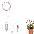 LED grow light angel ring design with USB cable for indoor plants