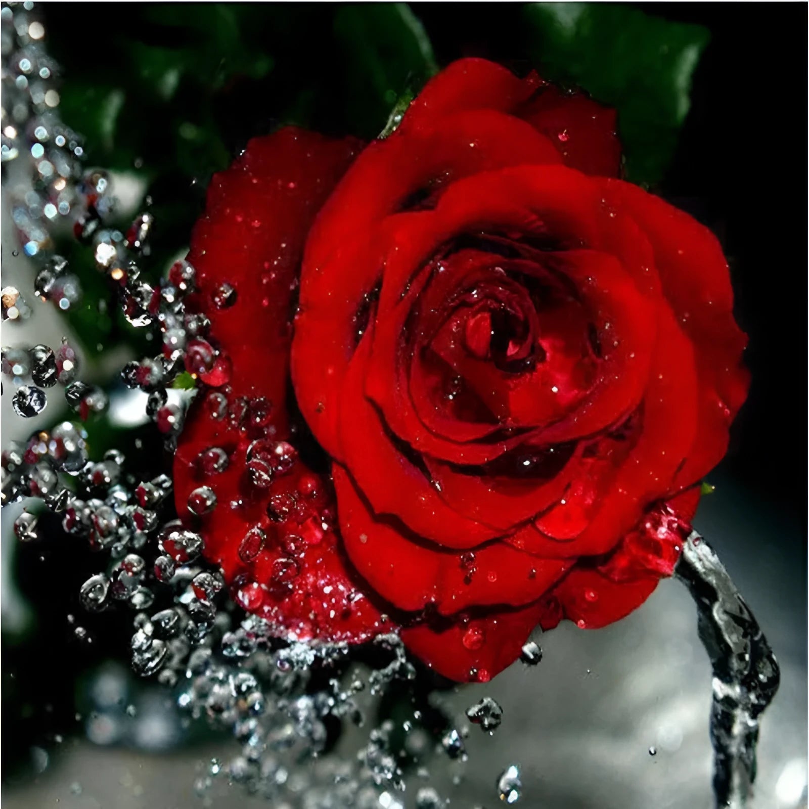 Hand-painted digital oil painting of water drop red roses on 40x50cm linen canvas