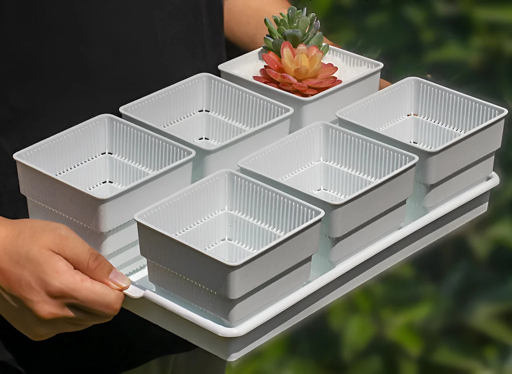 Meishi black and white resin succulent flower pots arranged on a matching drainage tray.
