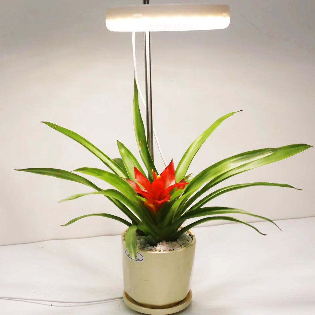 Full spectrum plant growth lamp for desk use with PC shell and 160x29mm dimensions